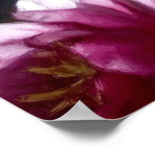 Weiße Rose Poster (Ecke)