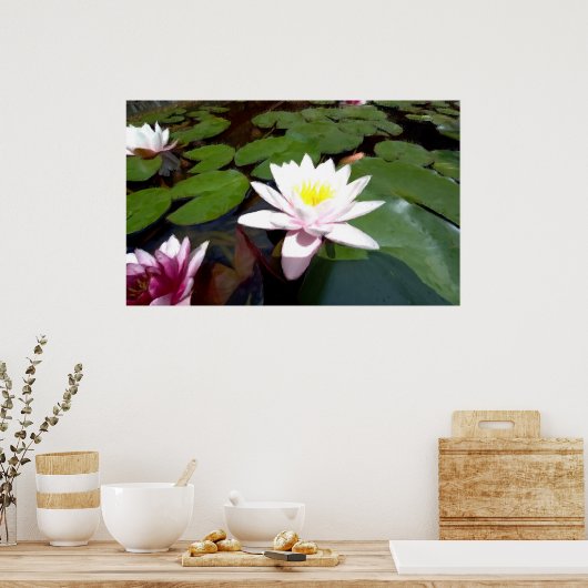 Weiße Rose Poster (Küche)