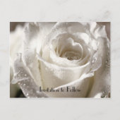 Weiße Rose Save the Date - Individuell angepasst Ankündigungspostkarte (Rückseite)