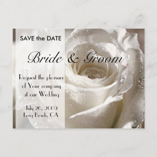 Weiße Rose Save the Date - Individuell angepasst Ankündigungspostkarte (Vorderseite)