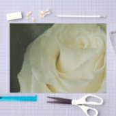 Weiße Rose Seidenpapier (Handwerk)