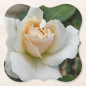 Weiße Rose Untersetzer (Vorderseite)