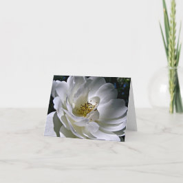Weiße Rosen-Anmerkungs-Karte Dankeskarte