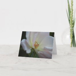 Weiße Rosen-Anmerkungs-Karte Dankeskarte
