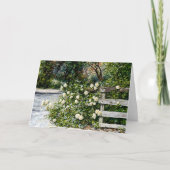 Weiße Rosen auf einer Blume des Landeszauns Kunst Karte (Vorderseite)