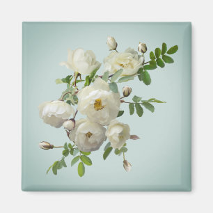 Weiße Rosen auf verträumtem Greenmagnet Magnet