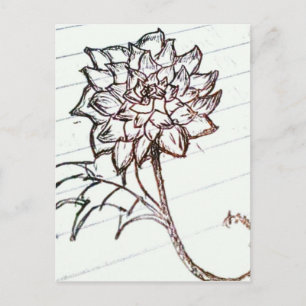 weiße Rosen-Blume Postkarte