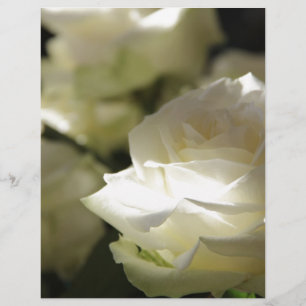 Weiße Rosen-Blumenblüten-Schicksals-Gärten