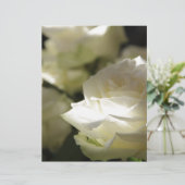 Weiße Rosen-Blumenblüten-Schicksals-Gärten (Stehend Vorderseite)