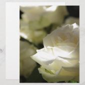 Weiße Rosen-Blumenblüten-Schicksals-Gärten (Vorne/Hinten)