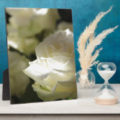 Weiße Rosen-Blumenblüten-Schicksals-Gärten Fotoplatte (Seite)