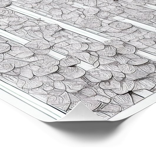 Weiße Rosen E Poster (Ecke)