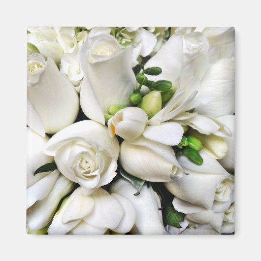 Weiße Rosen für jeden Anlass_ Magnet (Vorne)