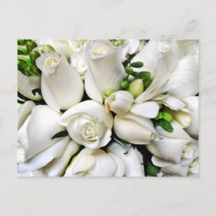 Weiße Rosen für jeden Anlass_ Postkarte