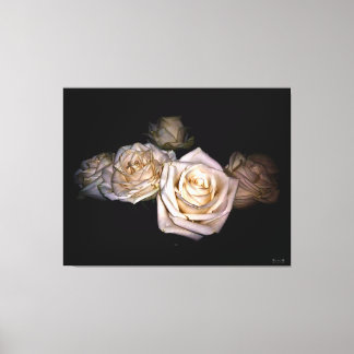 Weiße Rosen gegen dunklen Hintergrund Leinwanddruck