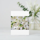 Weiße Rosen, glücklich_ Postkarte (Stehend Vorderseite)