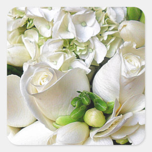 Weiße Rosen, glücklich_ Quadratischer Aufkleber