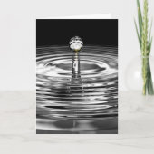 Weiße Rosen im Wassertropfen Karte (Vorderseite)