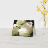 Weiße Rosen in der Sonnenlicht-Blankenkarte Karte (Gelbe Blume)