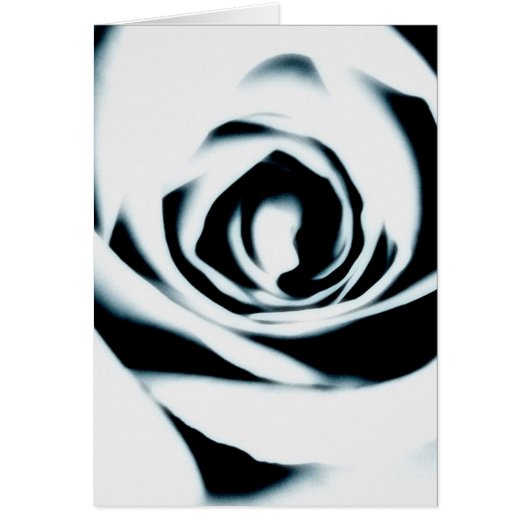 Weiße Rosen-Karte (Vorne)