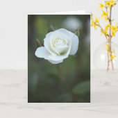 Weiße Rosen-Karte Karte (Gelbe Blume)