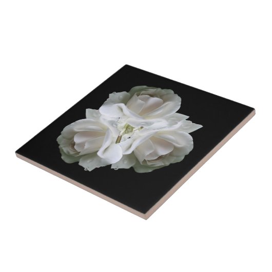 Weiße Rosen mit Raindrops Bouquet Fliese (Seite)