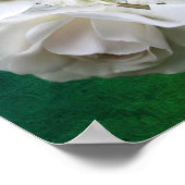Weiße Rosen mit Raindrops Bouquet Poster (Ecke)