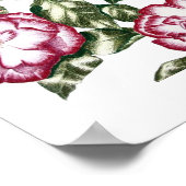 Weiße Rosen Nr. 2 Poster (Ecke)
