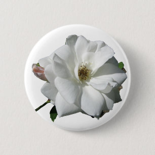 Weiße Rosen Party Dusche Hochzeit Blüten Schicksal Button