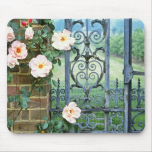 weiße Rosen-und bearbeitetes Eisen-Tor-Blumen Mousepad