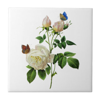 Weiße Rosen und Schmetterlinge von Redoute Fliese