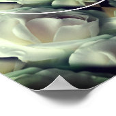 Weiße Rosenblumen schaffen Ihr eigenes Foto Poster (Ecke)