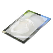 Weiße Rosenblüte. Blumenfotografie. Notizblock (angewinkelt)