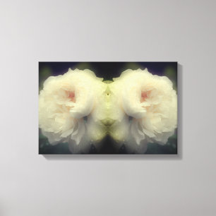 Weiße Rosenblüte in blühender floraler Kunst Leinwanddruck
