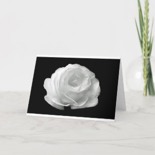 Weiße Rosenblüten Blumen Garten Frieden Liebe Kuns Karte