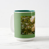 Weiße Rosenblüten Zweifarbige Tasse (Vorderseite Links)