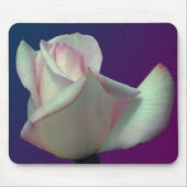 Weiße Rosenknospe-Blume Mousepad (Vorne)