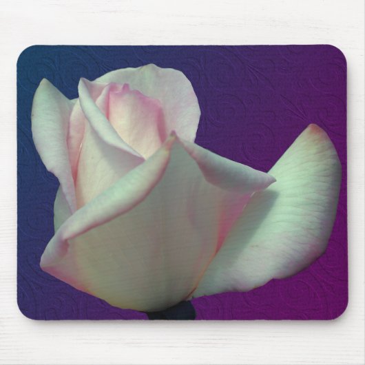 Weiße Rosenknospe-Blume Mousepad (Vorne)
