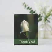 Weiße Rosenknospe Postkarte (Stehend Vorderseite)