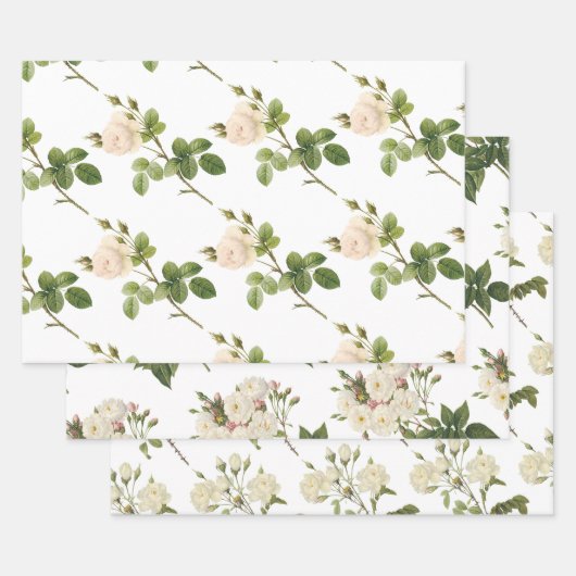 Weiße Rosenmuster Geschenkpapier Set (Set)
