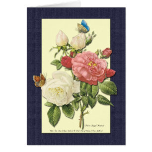 Weiße Rote Rosen Blank Botanische Kunstkarte