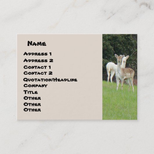 Weiße Rotwild-Visitenkarte Visitenkarte (Vorderseite)