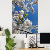 Weiße Sakura H.G. Poster (Heimbüro)