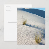 Weiße Sanddünen Landschaft Postkarte (Vorne/Hinten)