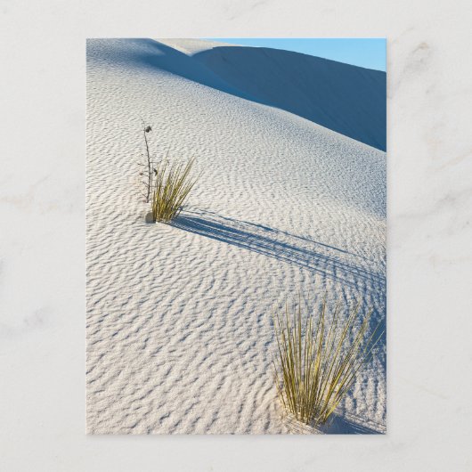 Weiße Sanddünen Landschaft Postkarte (Vorderseite)