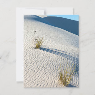 Weiße Sanddünen Landschaft Postkarte