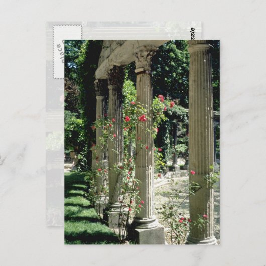 Weiße Säulen und Rose - Parc Monceau, Frankreich f Postkarte (Vorne/Hinten)