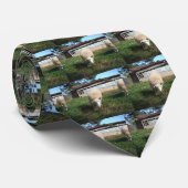 Weiße Schafe auf dem Bauernhof Krawatte (Gerollt)