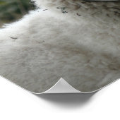 Weiße Schafe Poster (Ecke)