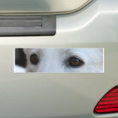 Weiße Schäferaugen Autoaufkleber (Auf Auto)